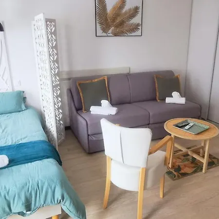 O'tiny Familiale 4 Personnes, Gare, Centre Ville, Sanctuaire Lägenhet Lourdes