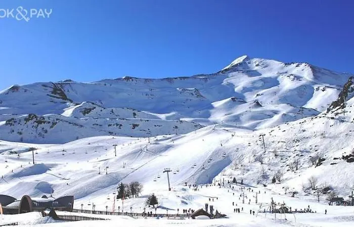 O'tiny Familiale 4 Personnes, Gare, Centre Ville, Sanctuaire Apartmán