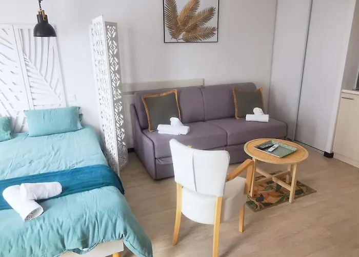 O'tiny Familiale 4 Personnes, Gare, Centre Ville, Sanctuaire Appartement Lourdes